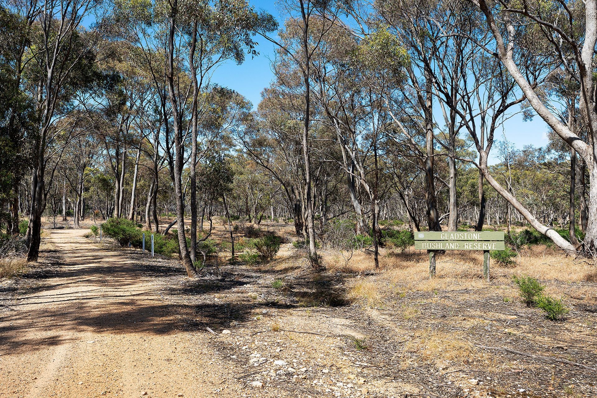 Lot 5, 58 Main Street Eldorado