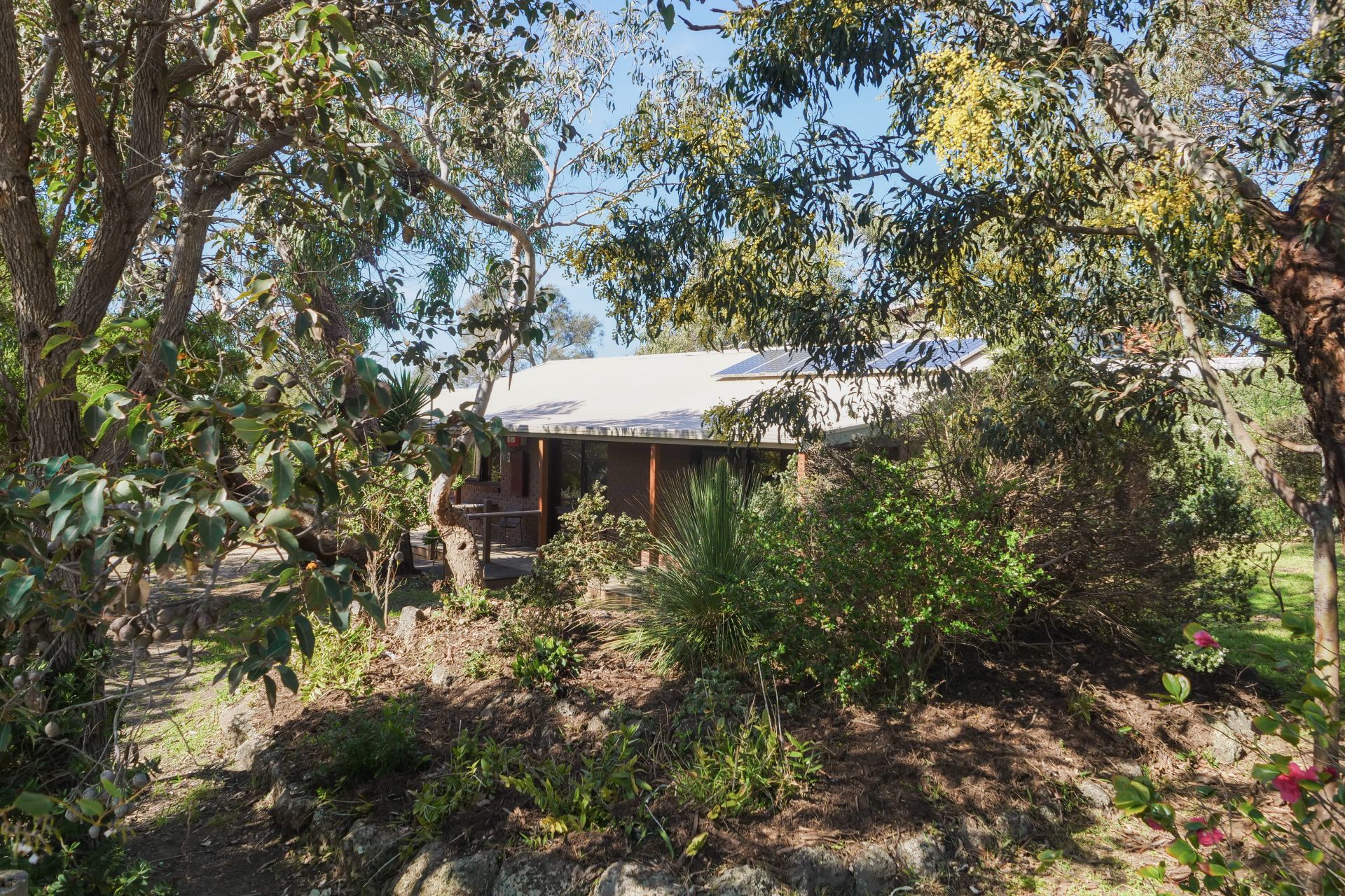 14 Murray Street, Anglesea - Thumbnail 3
