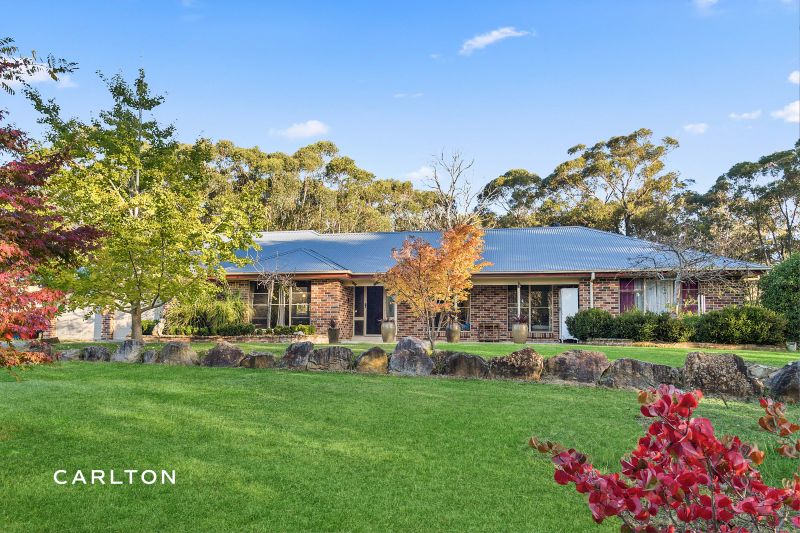 Properties For Sale Carlton Real Estate