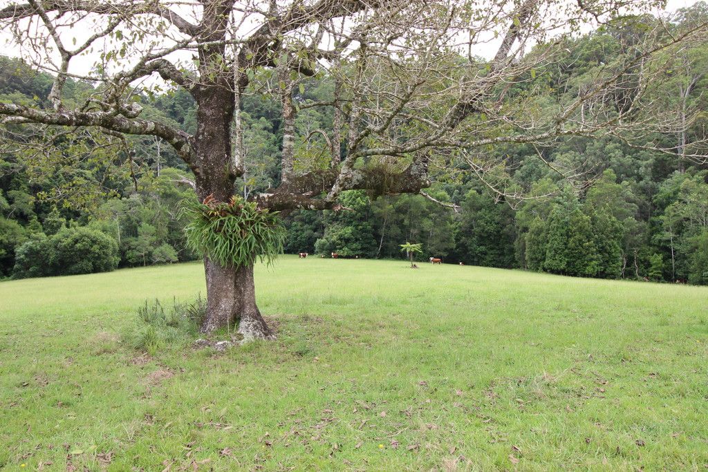 2595 Pappinbarra Rd, PAPPINBARRA NSW 2446