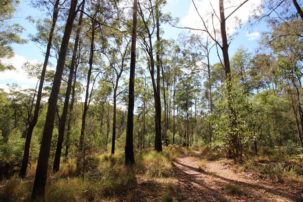 , TELEGRAPH POINT NSW 2441