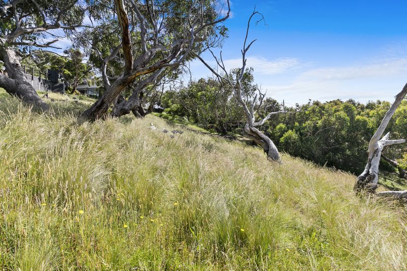 61 Morley Avenue, Wye River, VIC, Wye River - Thumbnail 4