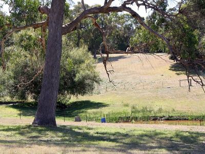 1215 Port Sorell Road, Port Sorell, Port Sorell - Thumbnail 2