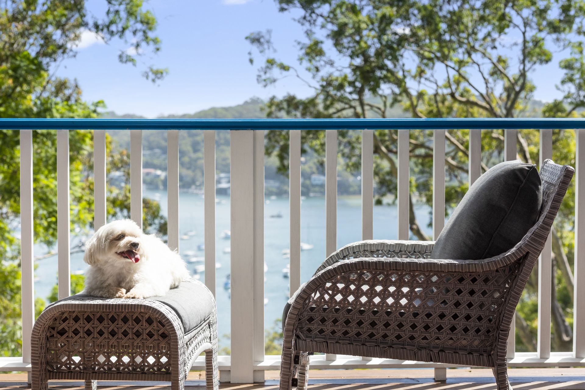 24 Wandearah Avenue Avalon Beach NSW, Avalon Beach - Thumbnail 6
