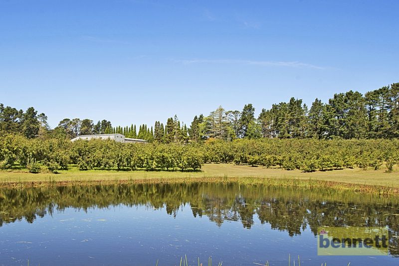Lot 2 Hanlons Road, Bilpin - Thumbnail 7