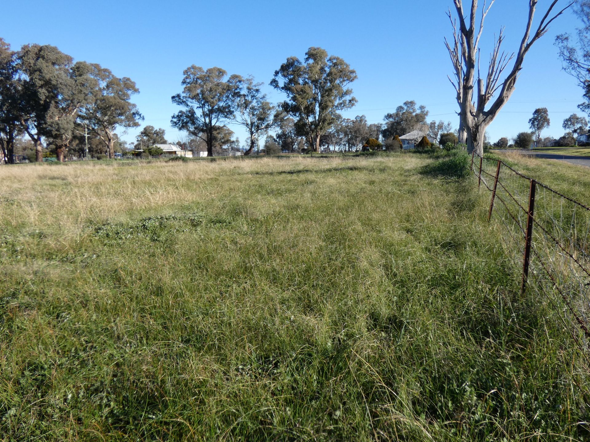 2 Cherry Tree Close, Bendick Murrell NSW, Bendick Murrell - Thumbnail 5