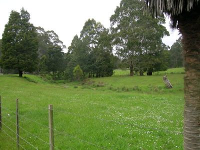 3
 
 
 
  
 
 
 1
 
 
 
  
 
 
 2
 
 
 
 
 
 
 
 760 Wilmot Road, FORTH TAS 7310, Forth - Thumbnail 4