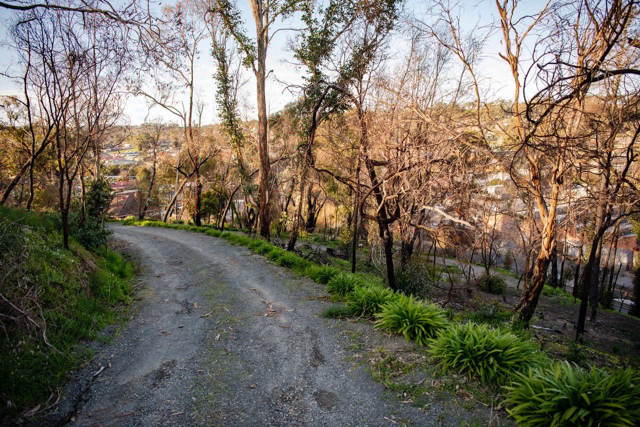 Real Estate For Sale 1 MILL ROAD Lobethal , SA