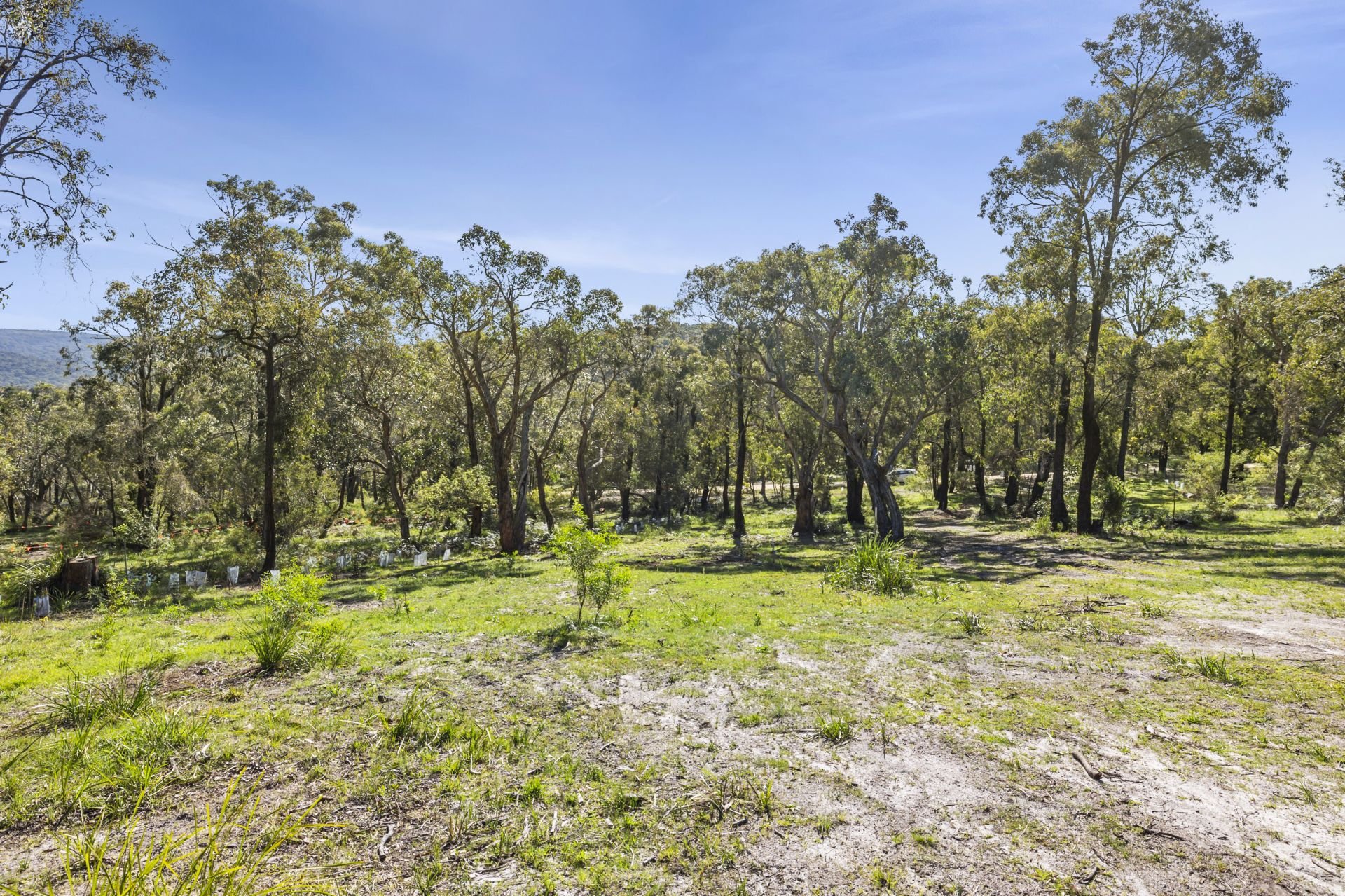 Real Estate For Sale 49 Hopkins Street Aireys Inlet , VIC