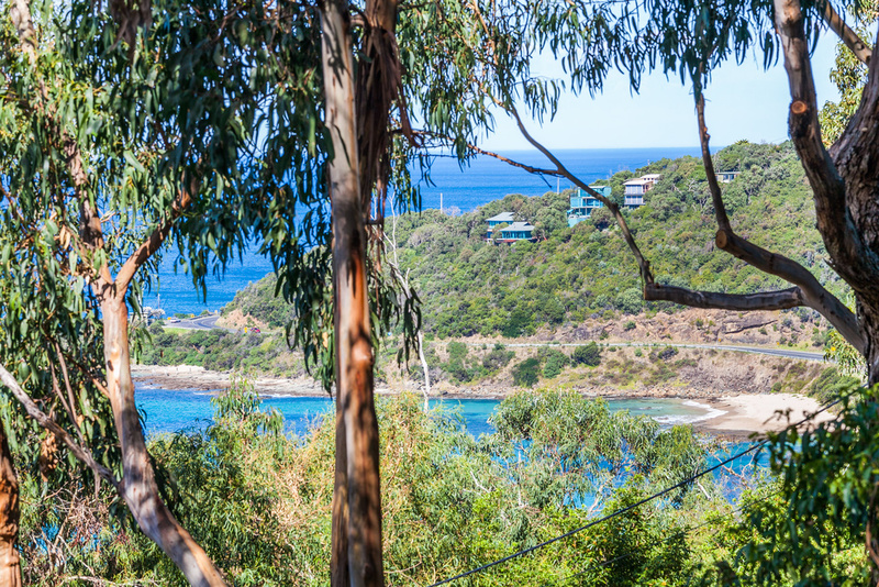5 Iluka Avenue, Wye River, VIC, Wye River - Thumbnail 5