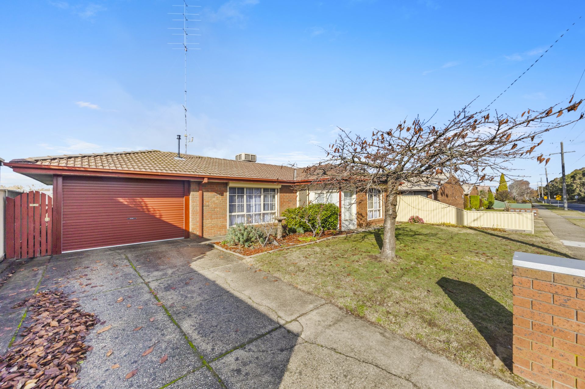 501 Sutton Street, Sebastopol, Sebastopol - Thumbnail 4
