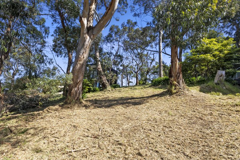 10 Cara Court, Kennett River, VIC, Kennett River - Thumbnail 2