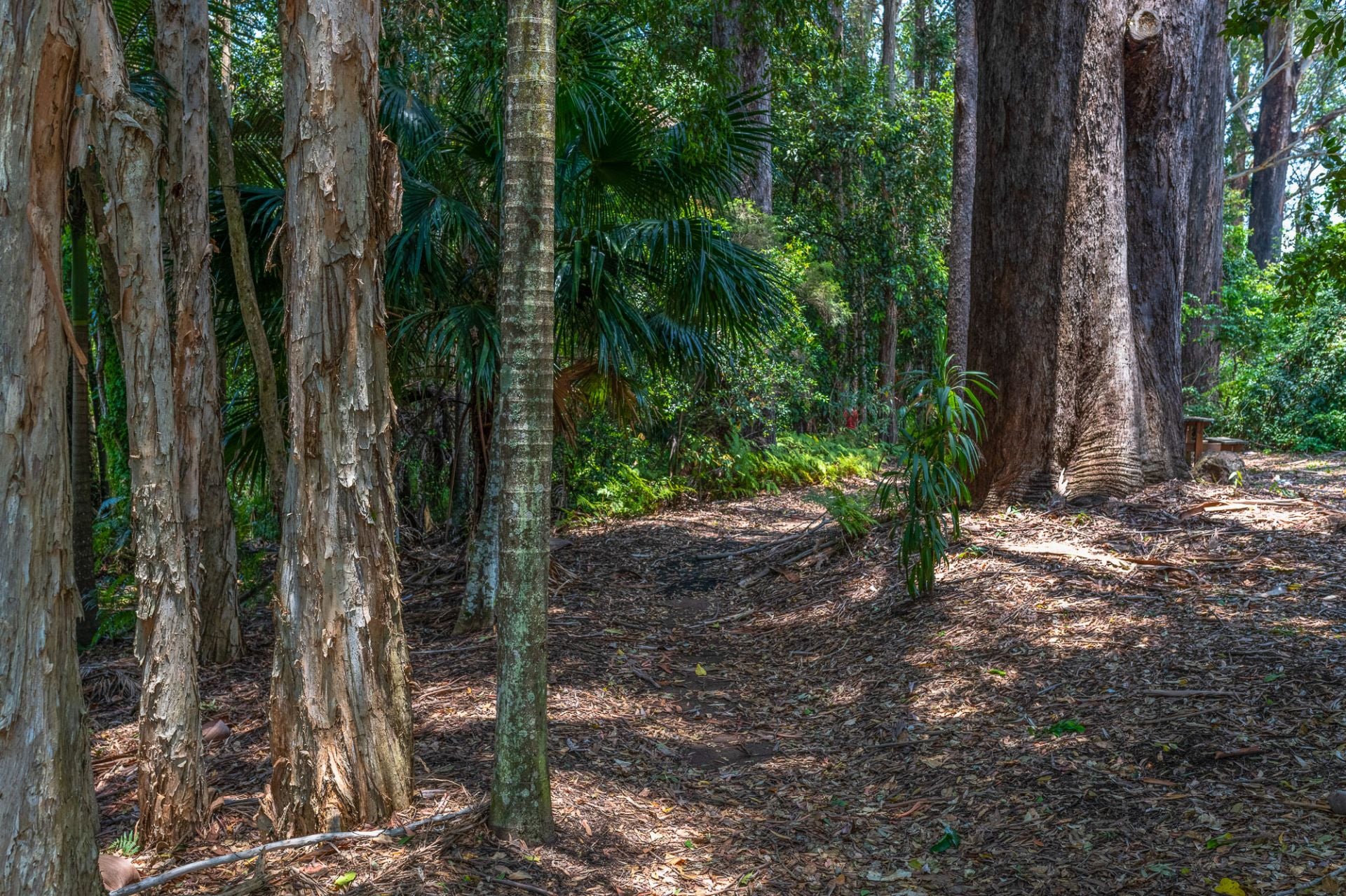 11/31 Abbotts Road Palmwoods QLD, Palmwoods - Thumbnail 7