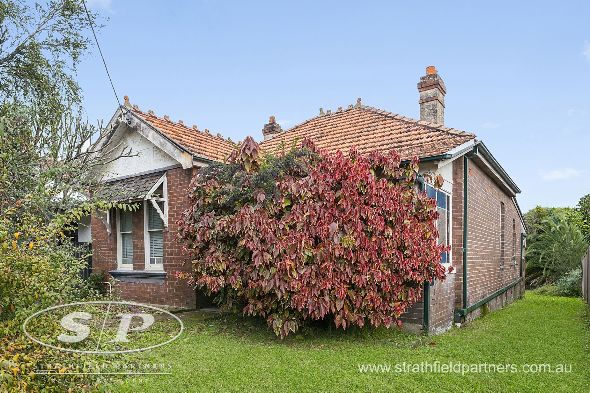 21 Angelo Street, Burwood, Burwood - Thumbnail 2