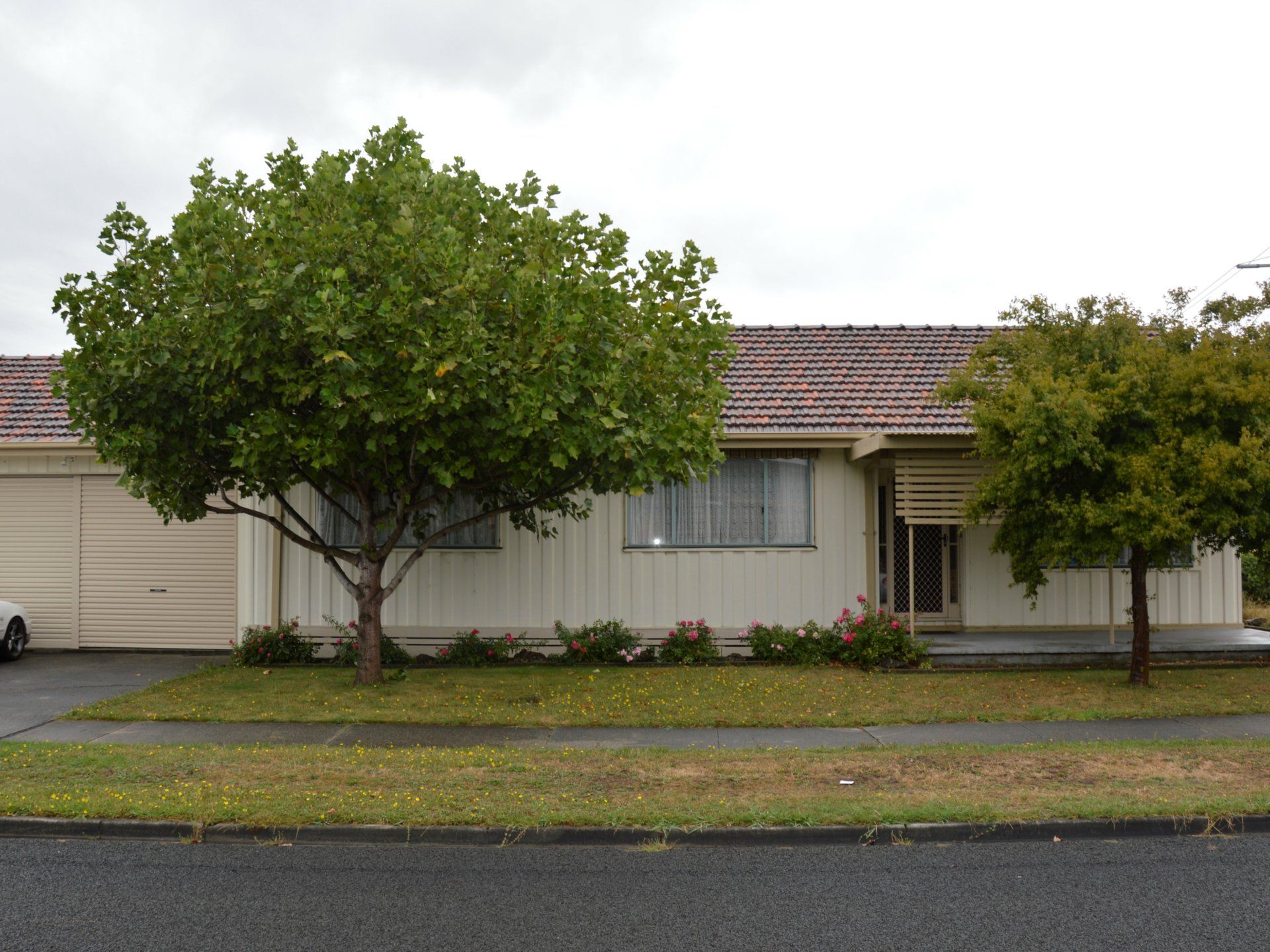 Latrobe Valley Real Estate