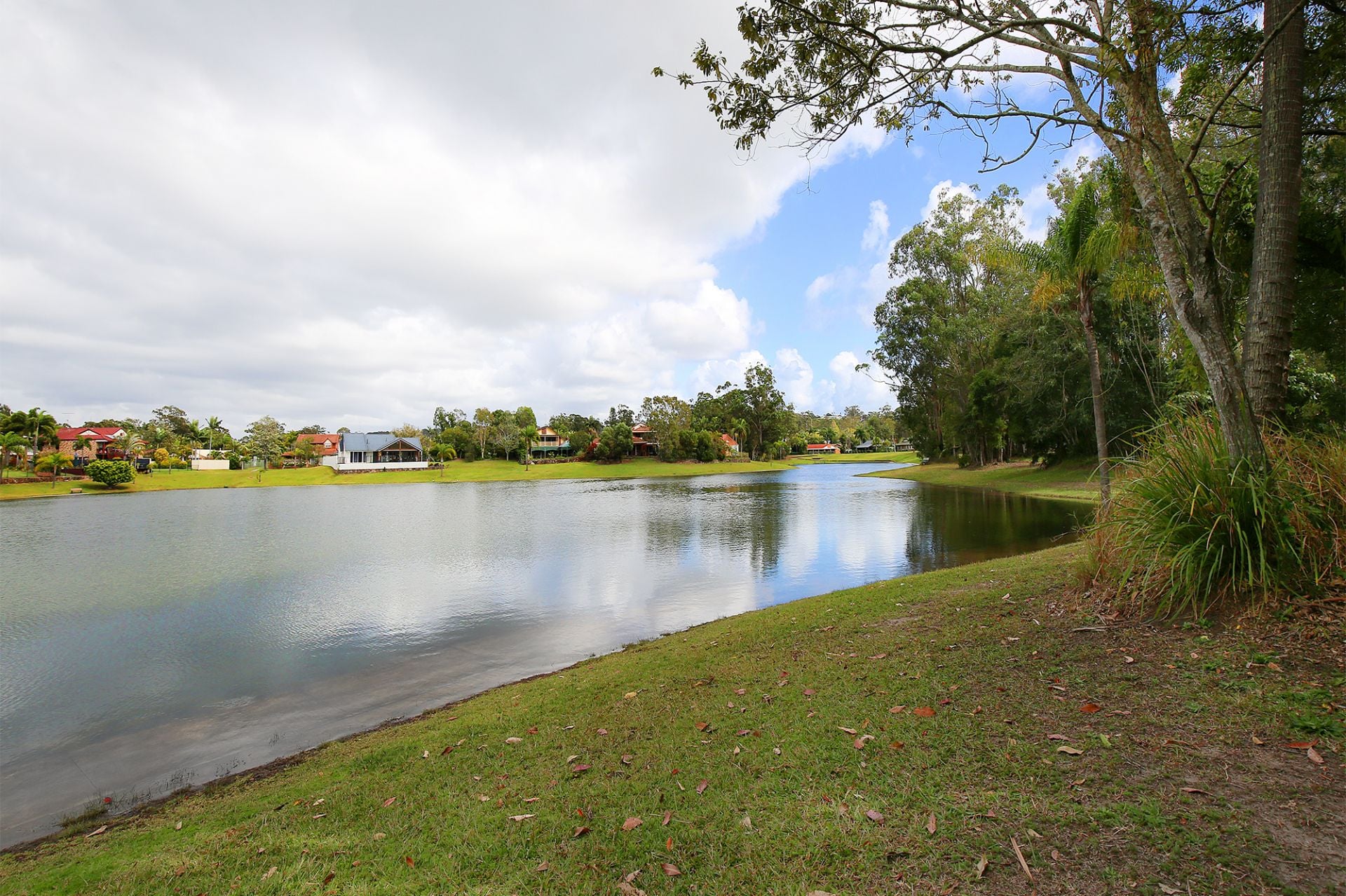 8 Saratoga Drive Mountain Creek QLD, Mountain Creek - Thumbnail 3