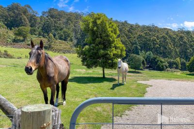 55A Squibbs Road, Spreyton, Spreyton - Thumbnail 3