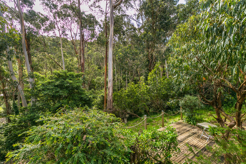 7  Mitchell Grove, Separation Creek, VIC, Separation Creek - Thumbnail 4