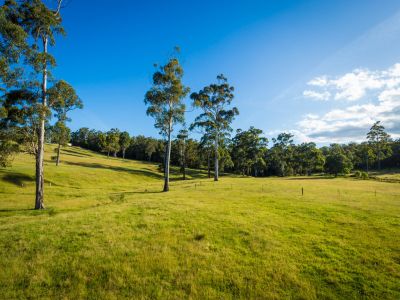 3/13 Millingandi Road, Millingandi