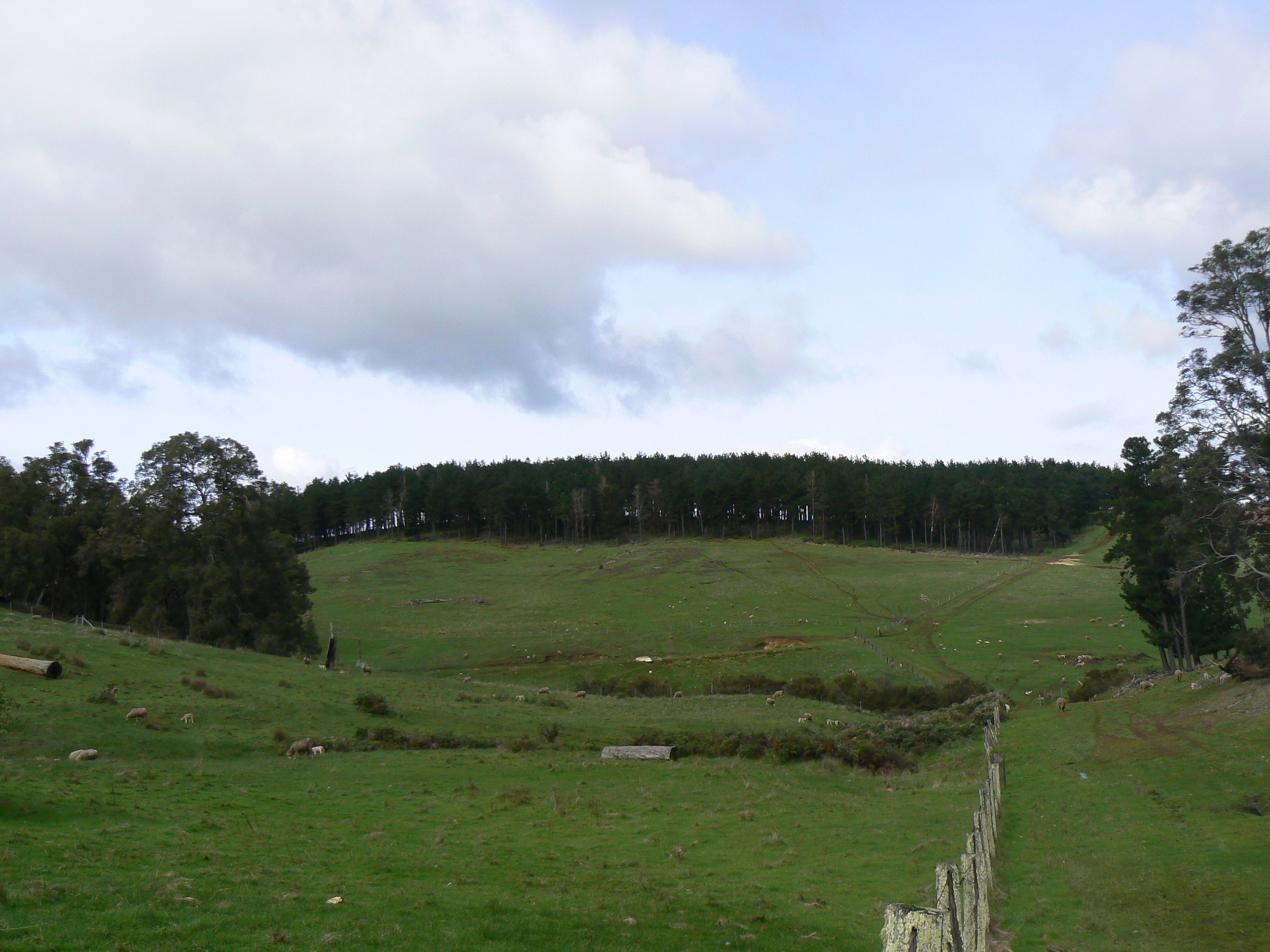 Real Estate For Sale Lot 2 Upper Capel Road Upper Capel , WA