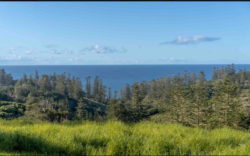 178 Stockyard Road Norfolk Island NSW, Norfolk Island - Thumbnail 5
