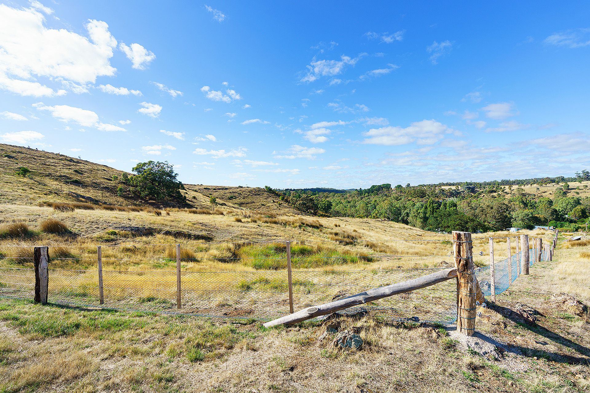 Lot 5, 58 Main Street Eldorado, Harcourt - Thumbnail 4