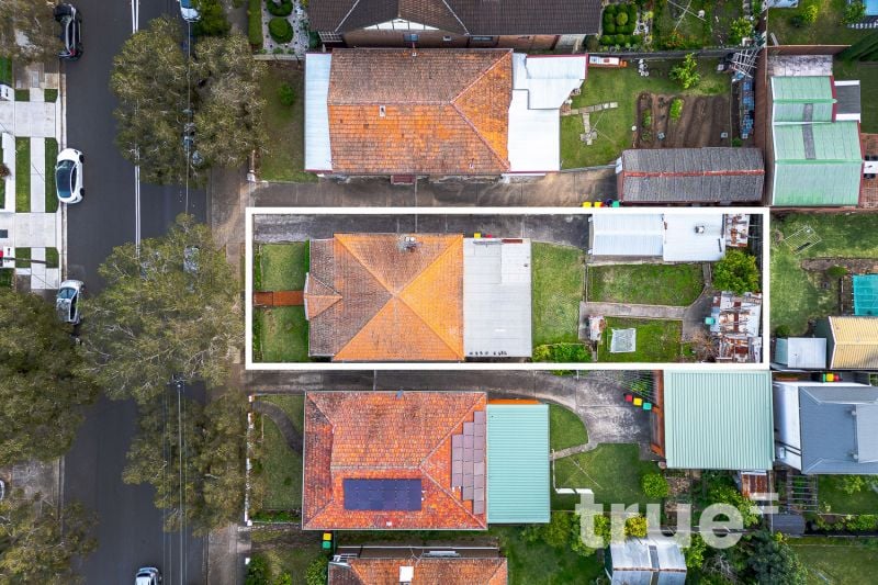 81 Wellbank Street Concord NSW, Concord - Thumbnail 4