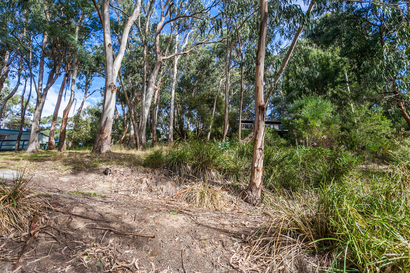 10 Cassidy Drive, Kennett River, VIC, Kennett River - Thumbnail 3