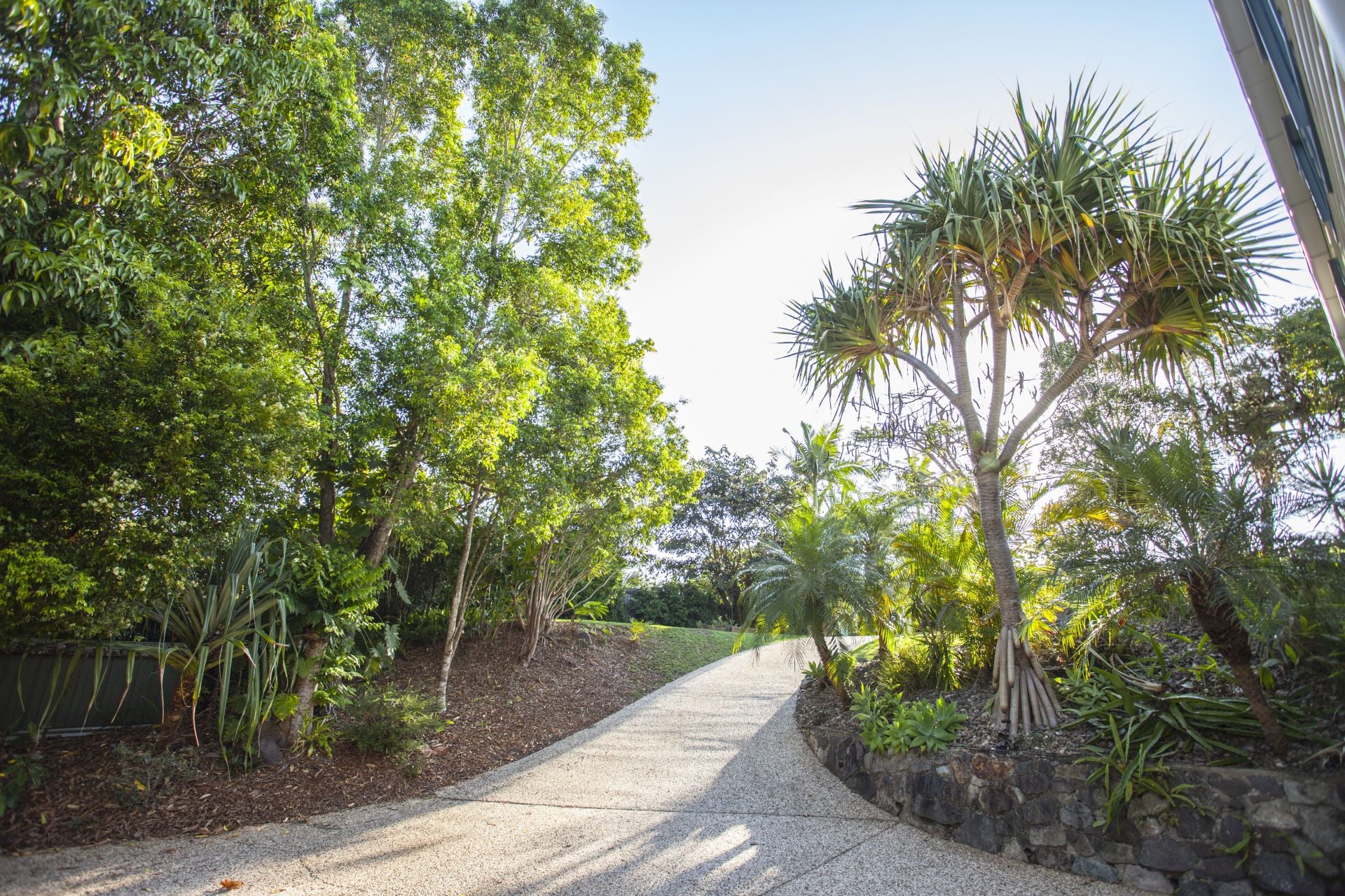 17 Mango Vale Court Diddillibah QLD, Diddillibah - Thumbnail 6