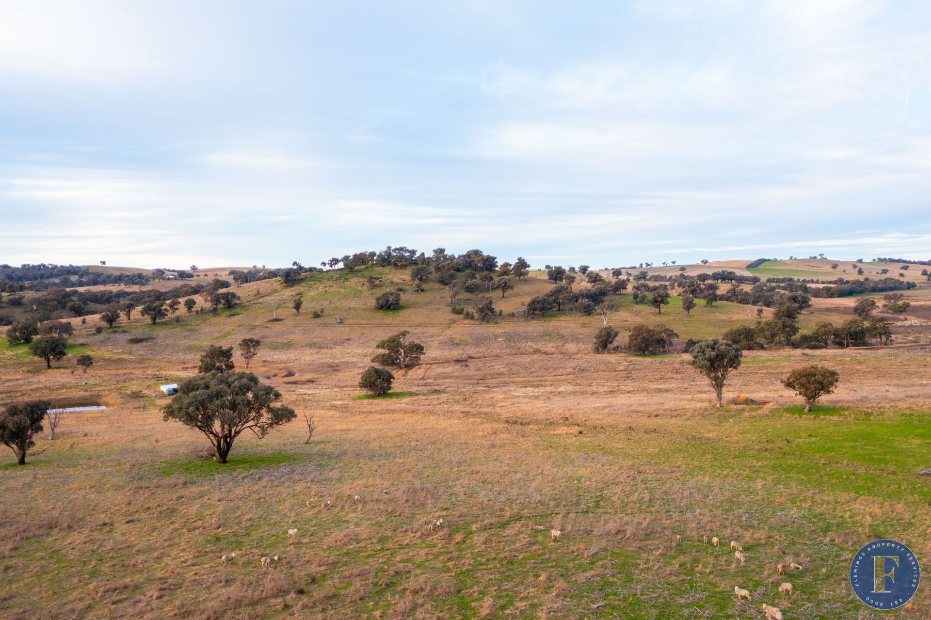 LOT 74 Frogmore Road, Frogmore NSW, Frogmore - Thumbnail 5
