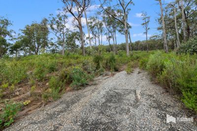 9 Woodland Grove, Tugrah, Tugrah - Thumbnail 5