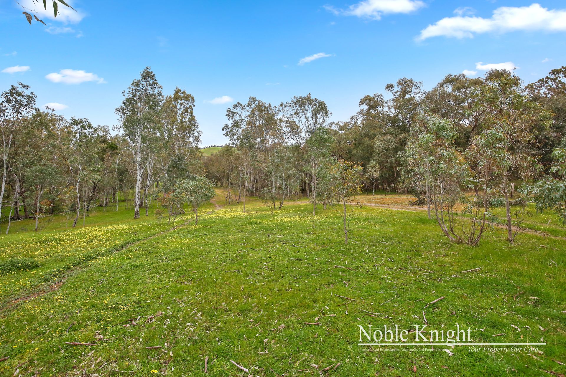 111 Sichlaus Road Yea