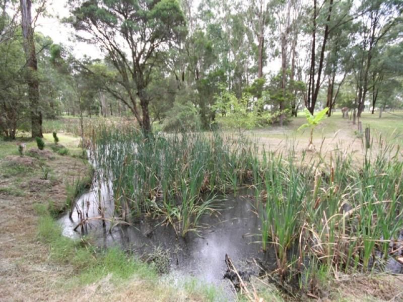 BERKSHIRE PARK, NSW, Berkshire Park - Thumbnail 4