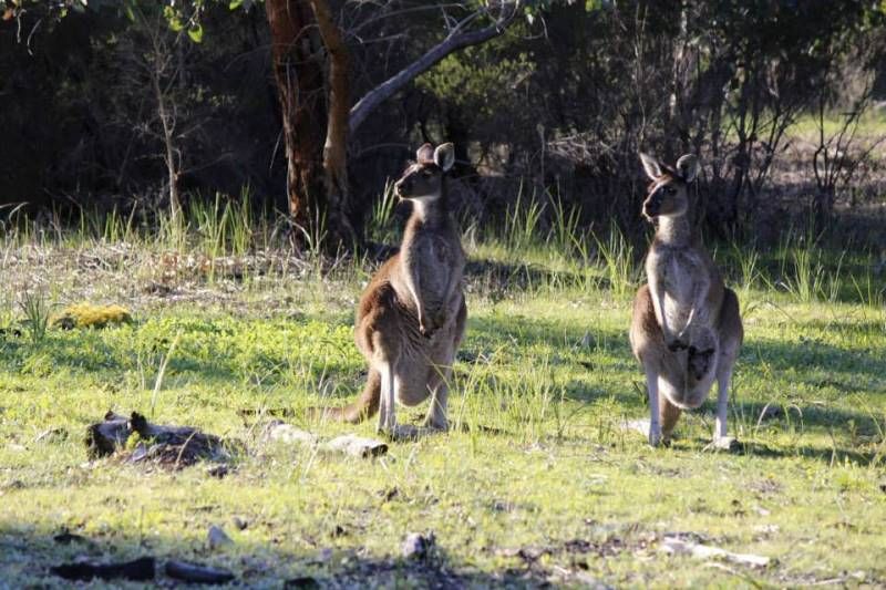 Lot 5 Possumtail Run, Bacchus Marsh - Thumbnail 5
