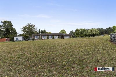 3
 
 
 
  
 
 
 1
 
 
 
  
 
 
 2
 
 
 
 
 
 
 
 29 Farquhar Place, Kindred TAS 7310, Kindred - Thumbnail 4