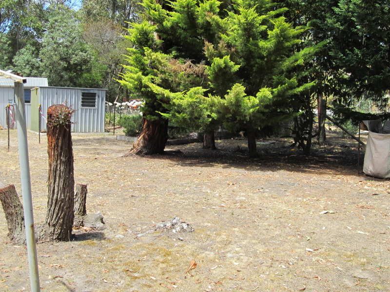 3 Niblick Street, Anglesea, VIC, Anglesea - Thumbnail 4