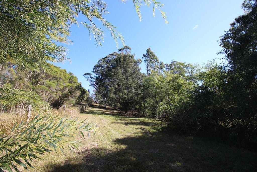 444 Upper Rollands Plains Road, UPPER ROLLANDS PLAINS NSW 2441