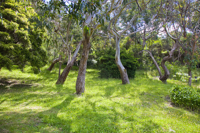 2/3 Great Ocean Road, Wye River, VIC, Wye River - Thumbnail 7