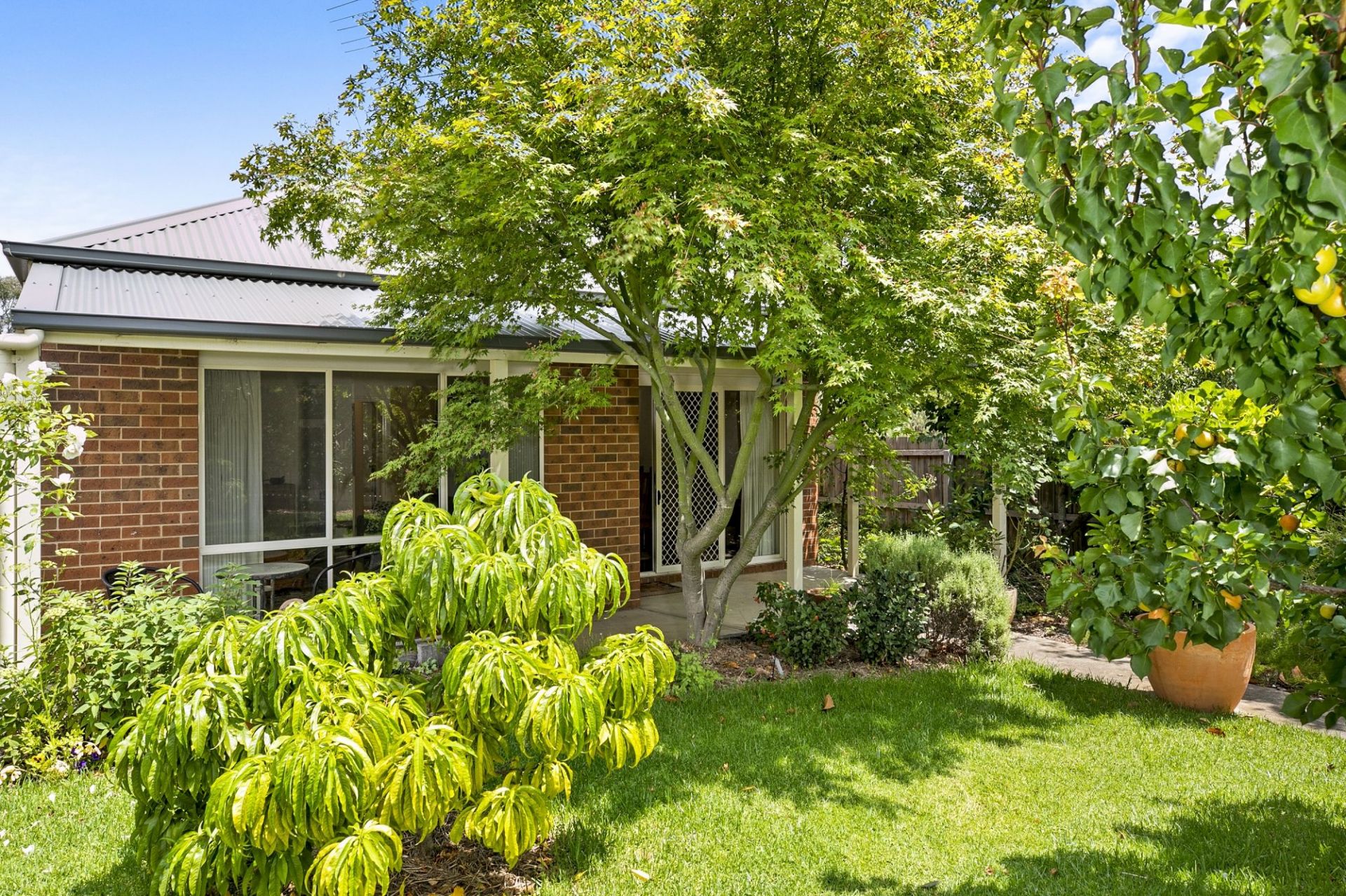 2 Bulga Place Ocean Grove Vic, Ocean Grove - Thumbnail 4
