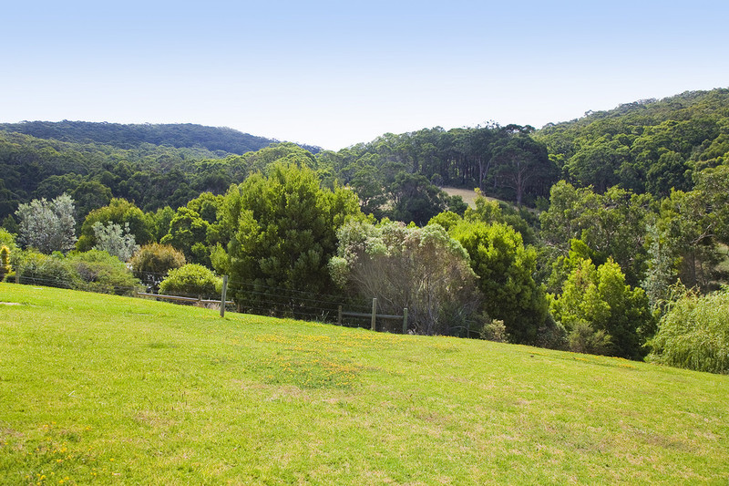 10 Joseph Court, Kennett River, VIC, Kennett River - Thumbnail 3