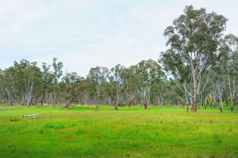 Real Estate For Sale Lot 18/ HarrowCasterton Road Harrow , VIC