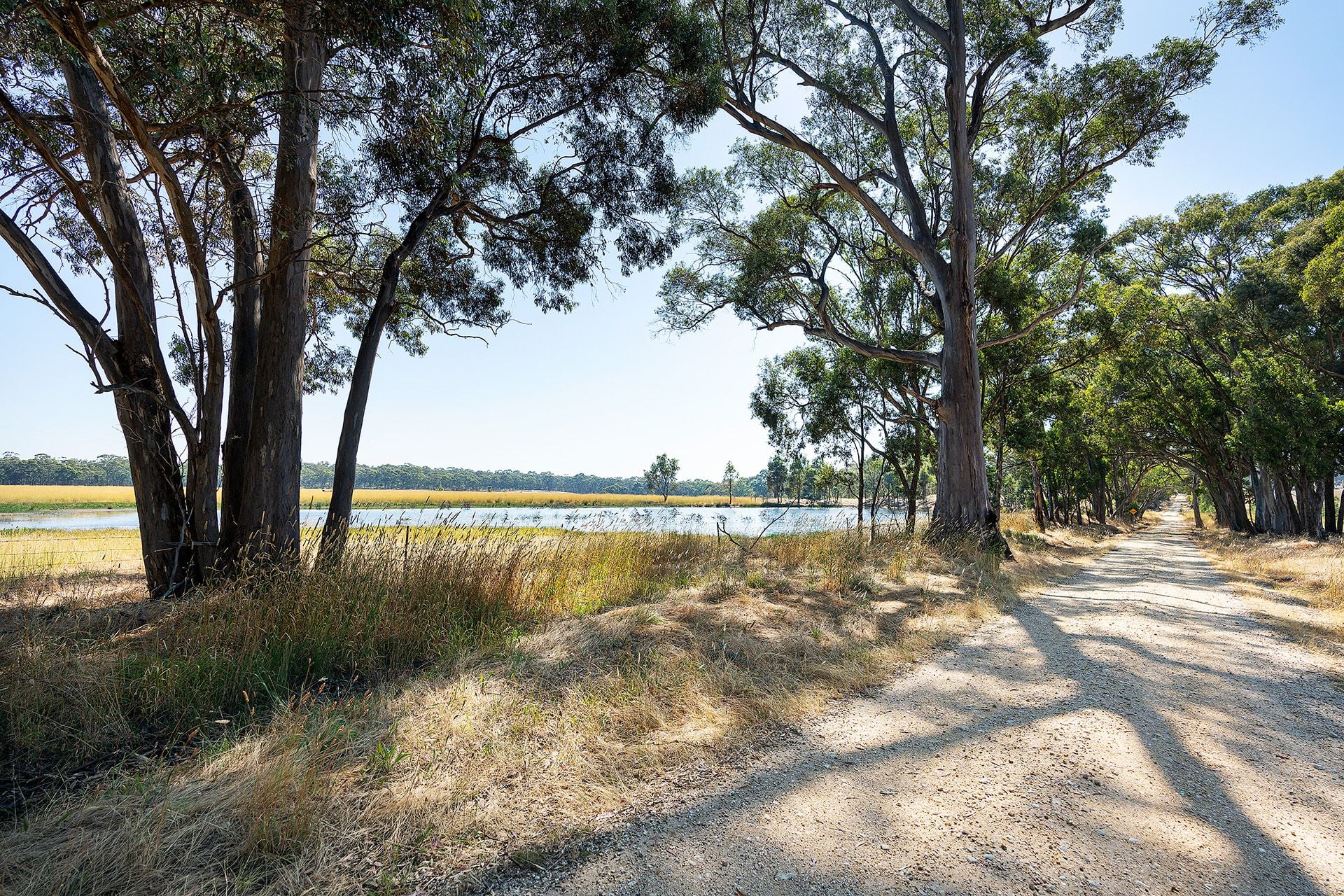 Lot 5, 58 Main Street Eldorado, Harcourt - Thumbnail 8