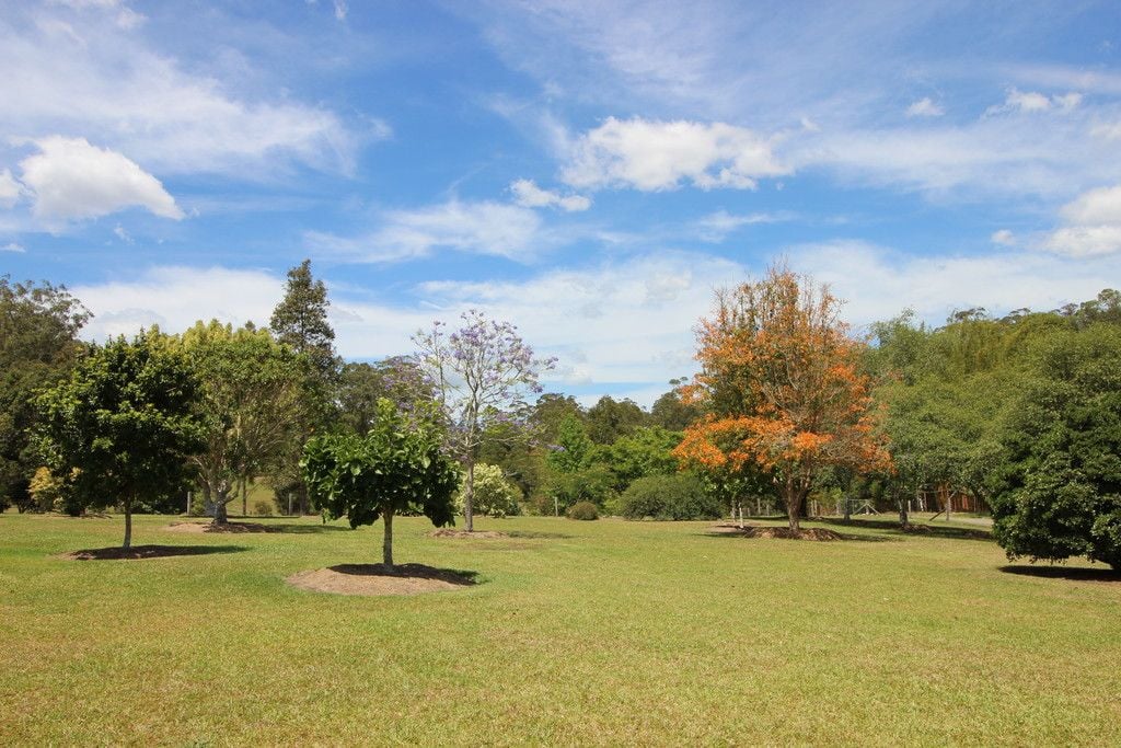 24 Kingsford Road, LOGANS CROSSING NSW 2439