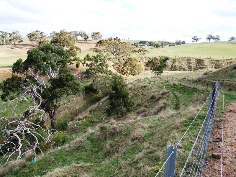 529 Swans Road, Bacchus Marsh - Thumbnail 7