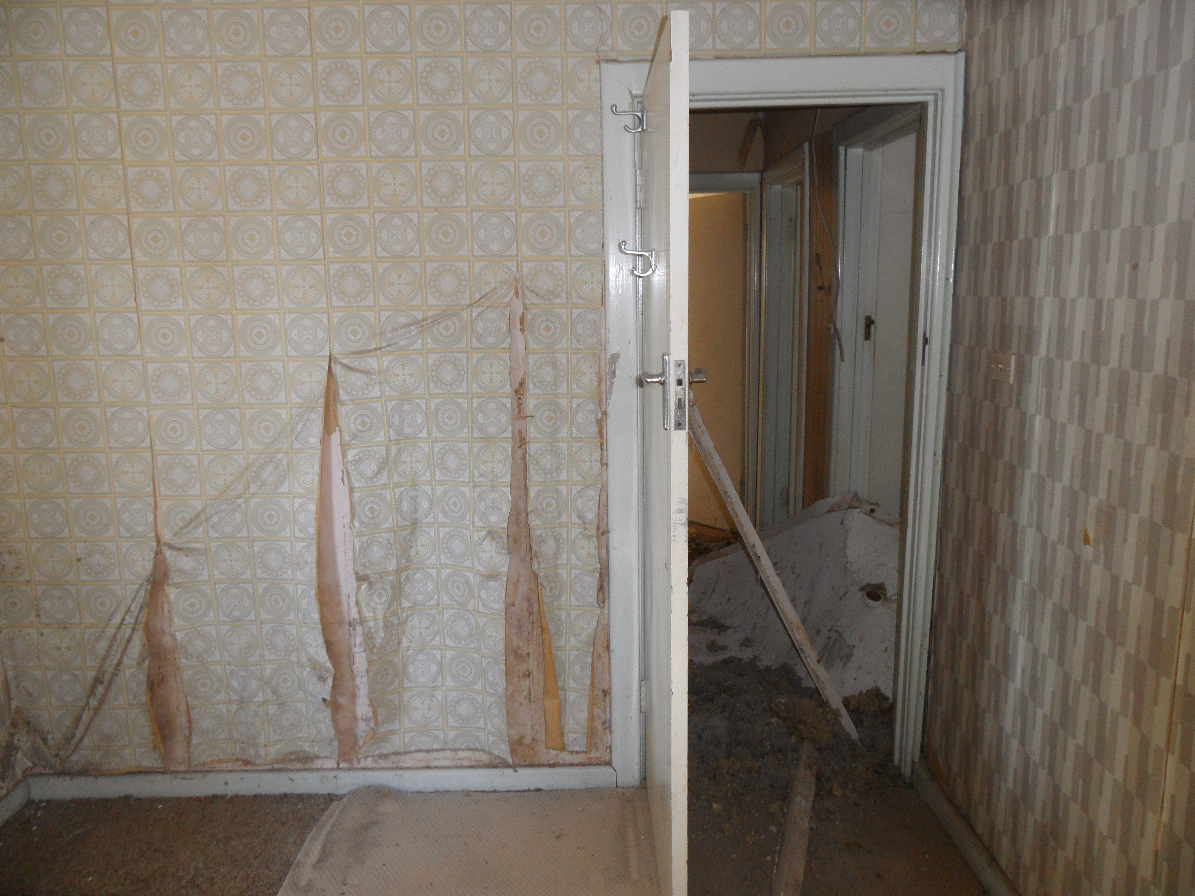 10  Cardigan Avenue Felixstow 5070