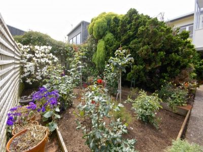 3
 
 
 
  
 
 
 2
 
 
 
  
 
 
 2
 
 
 
 
 
 
 
 56 Hiller Street, DEVONPORT TAS 7310, Devonport - Thumbnail 5