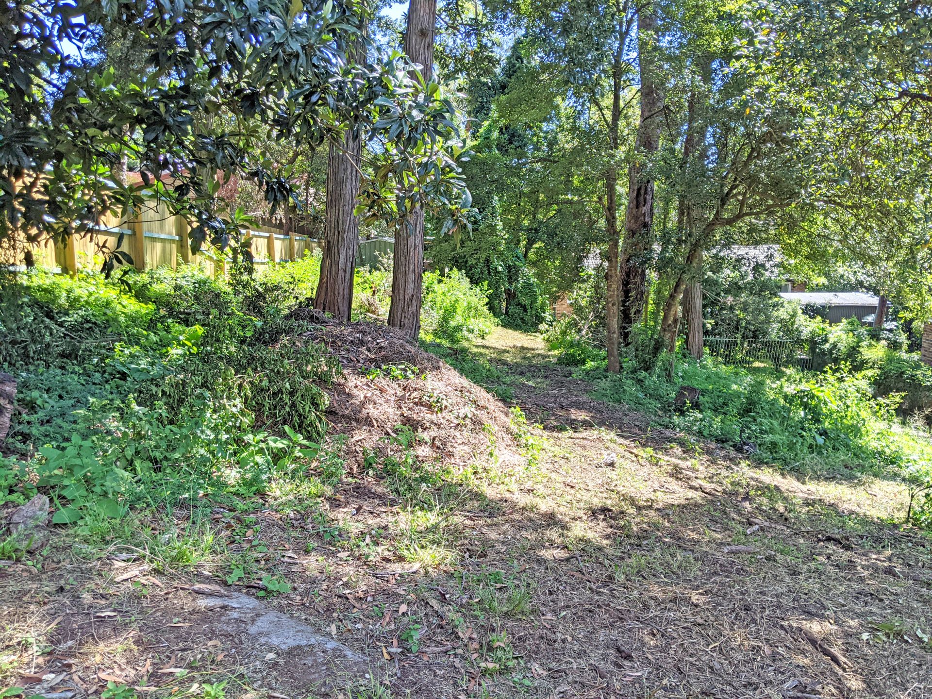 5 Waratah Street, Bowen Mountain - Thumbnail 4