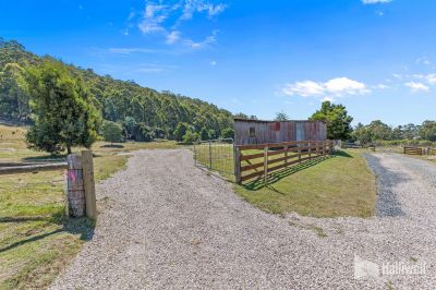 55A Squibbs Road, Spreyton, Spreyton - Thumbnail 2