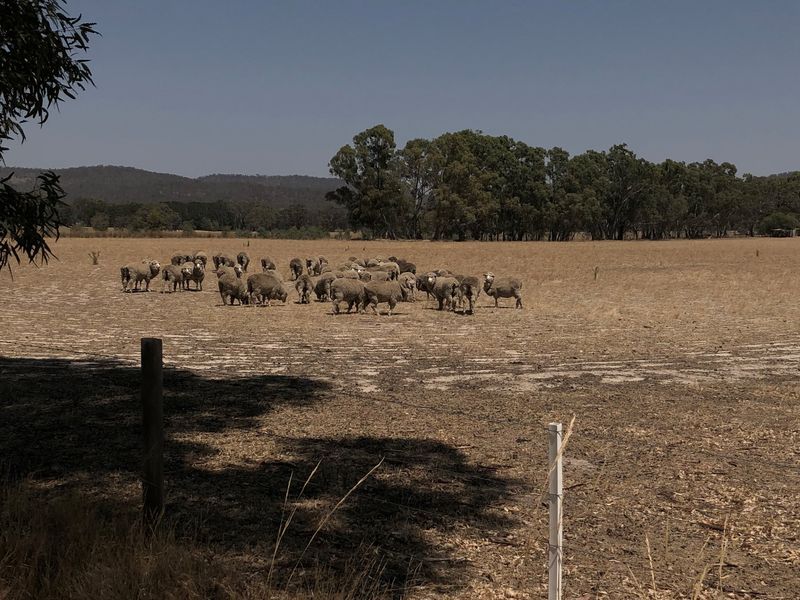 Lt 3 secB/ Racecourse Road, Redbank VIC 3477