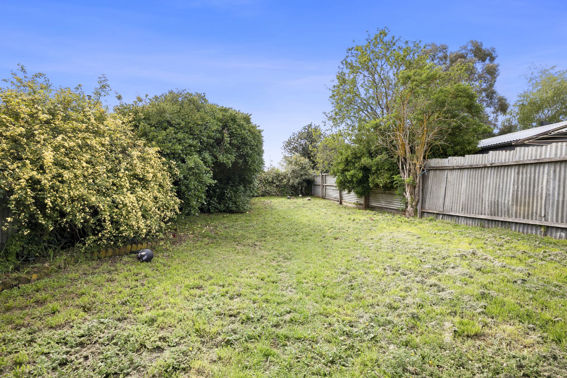 302 Doveton Street North, Soldiers Hill, Soldiers Hill, Soldiers Hill - Thumbnail 2